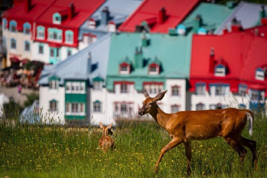 Deluxe Suite-Sur-Lac Superieur - Tremblant Versant Nord Bagian luar foto
